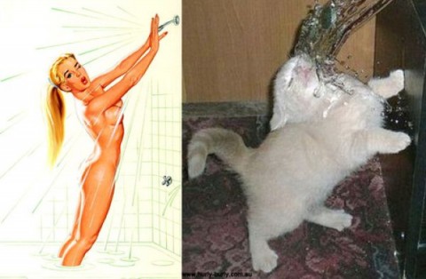  Коты позируют в стиле девушек с пин-ап плакатов 